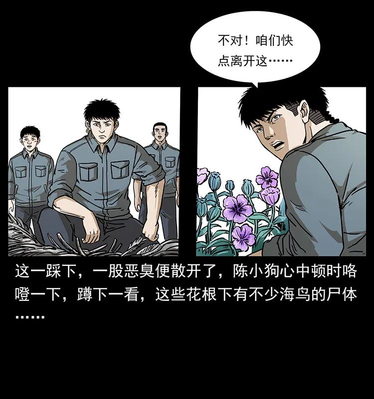 《幽冥诡匠》漫画最新章节236 神秘的小岛免费下拉式在线观看章节第【47】张图片