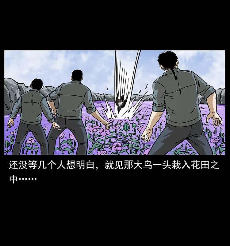 《幽冥诡匠》漫画最新章节236 神秘的小岛免费下拉式在线观看章节第【51】张图片