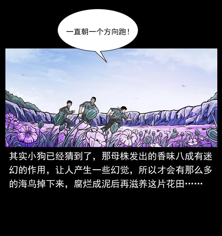 《幽冥诡匠》漫画最新章节236 神秘的小岛免费下拉式在线观看章节第【60】张图片