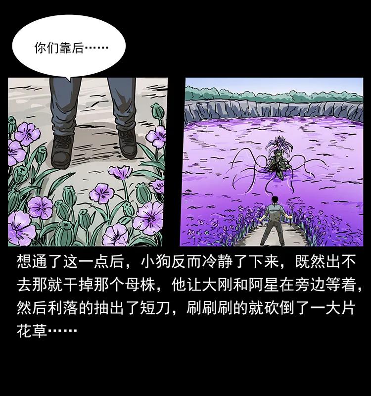 《幽冥诡匠》漫画最新章节236 神秘的小岛免费下拉式在线观看章节第【64】张图片