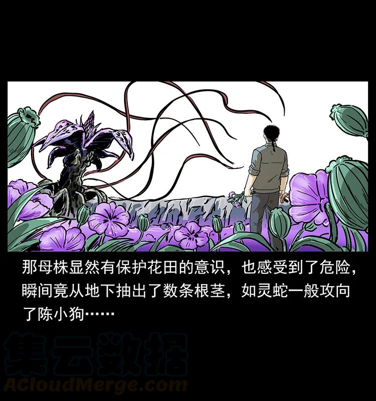 《幽冥诡匠》漫画最新章节236 神秘的小岛免费下拉式在线观看章节第【65】张图片