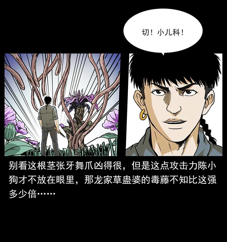 《幽冥诡匠》漫画最新章节236 神秘的小岛免费下拉式在线观看章节第【66】张图片