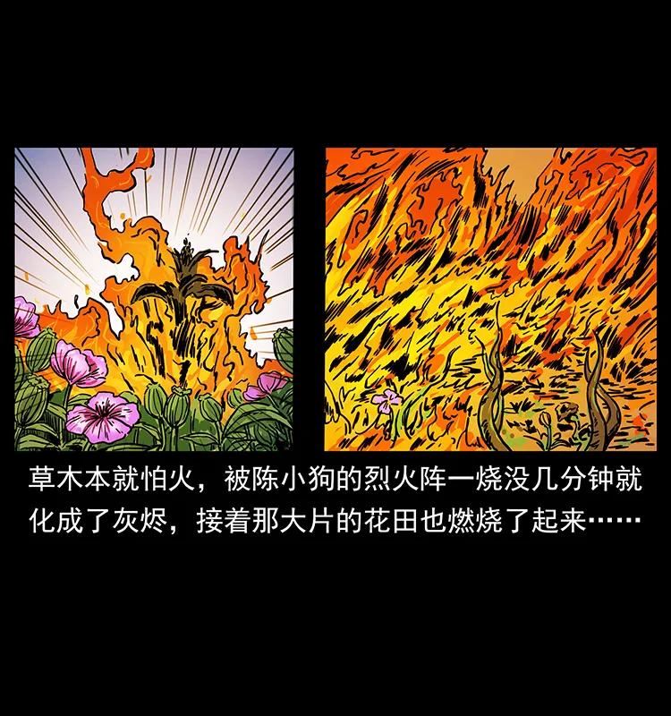 《幽冥诡匠》漫画最新章节236 神秘的小岛免费下拉式在线观看章节第【71】张图片