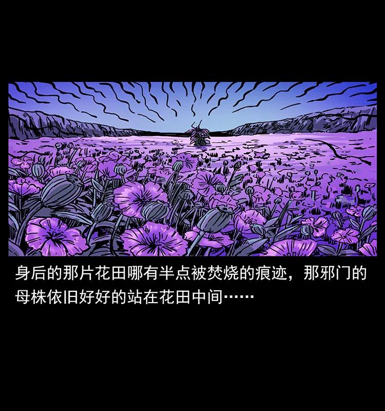 《幽冥诡匠》漫画最新章节236 神秘的小岛免费下拉式在线观看章节第【79】张图片