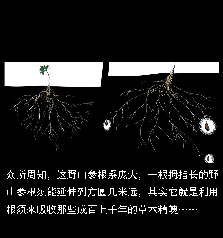 《幽冥诡匠》漫画最新章节027 刘瞎子憋宝免费下拉式在线观看章节第【14】张图片