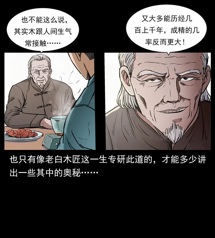 《幽冥诡匠》漫画最新章节306 怨鬼？精怪？免费下拉式在线观看章节第【38】张图片