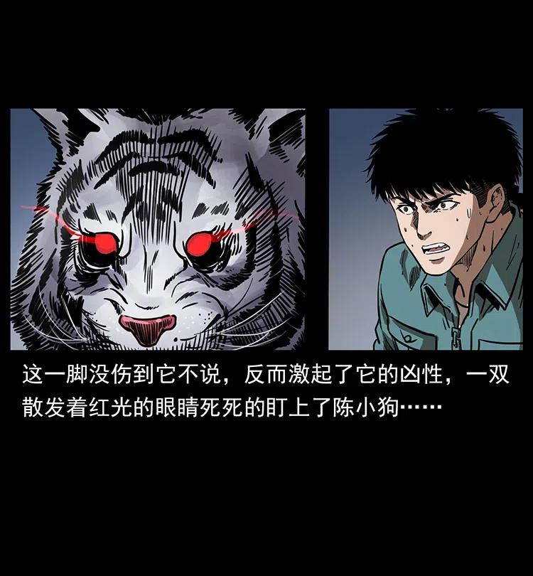 《幽冥诡匠》漫画最新章节342 白毛僵尸免费下拉式在线观看章节第【31】张图片