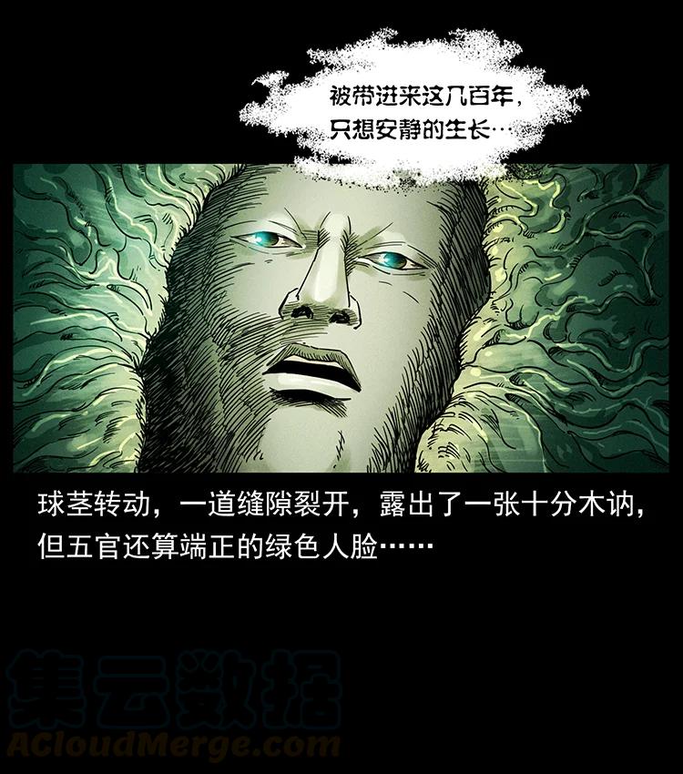 《幽冥诡匠》漫画最新章节390 斩草除根免费下拉式在线观看章节第【79】张图片