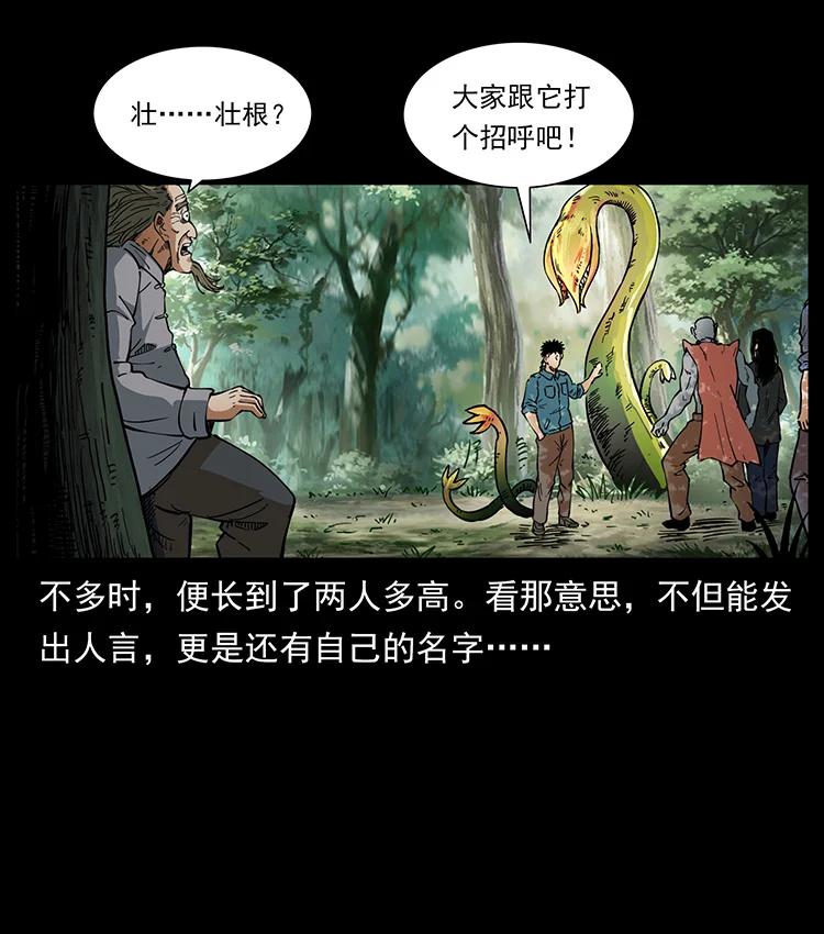 《幽冥诡匠》漫画最新章节391 散仙免费下拉式在线观看章节第【30】张图片