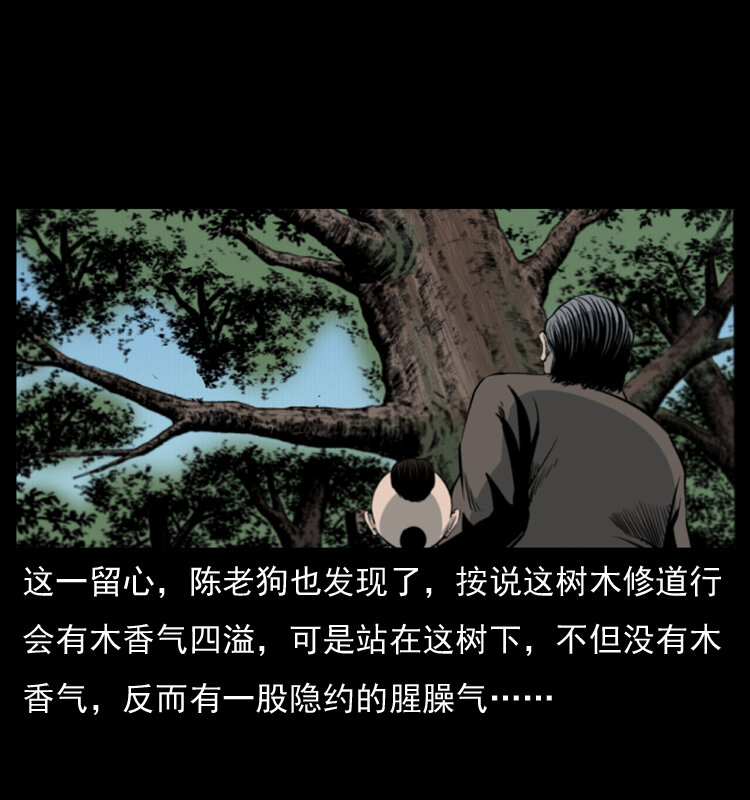 《幽冥诡匠》漫画最新章节008 槐树下的小庙免费下拉式在线观看章节第【17】张图片