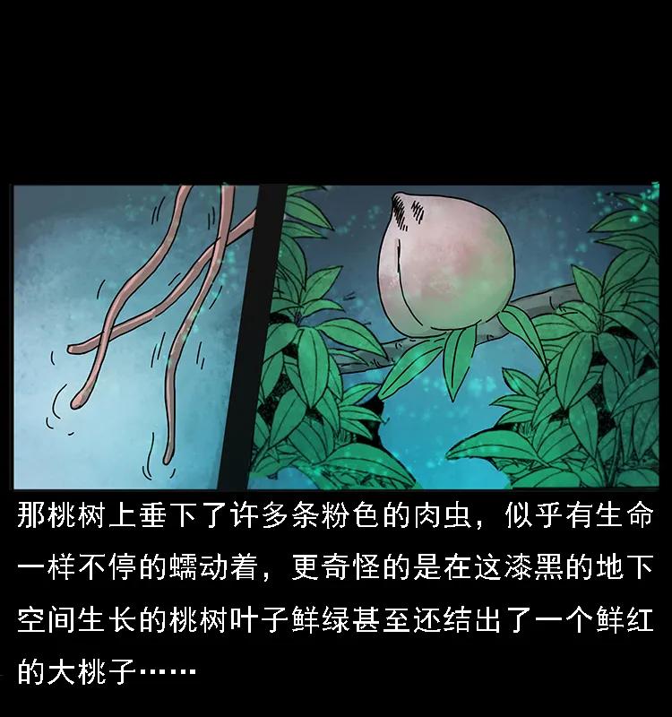 《幽冥诡匠》漫画最新章节082 鬼桃树免费下拉式在线观看章节第【27】张图片