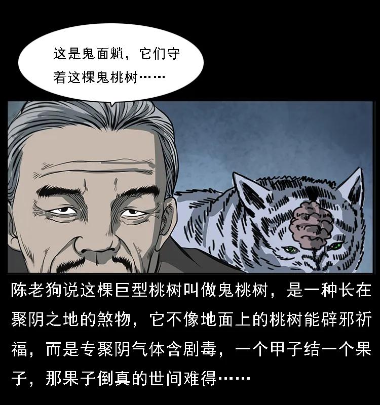 《幽冥诡匠》漫画最新章节082 鬼桃树免费下拉式在线观看章节第【31】张图片