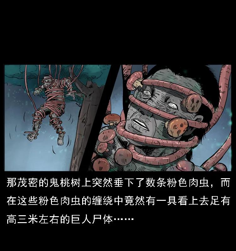 《幽冥诡匠》漫画最新章节082 鬼桃树免费下拉式在线观看章节第【38】张图片