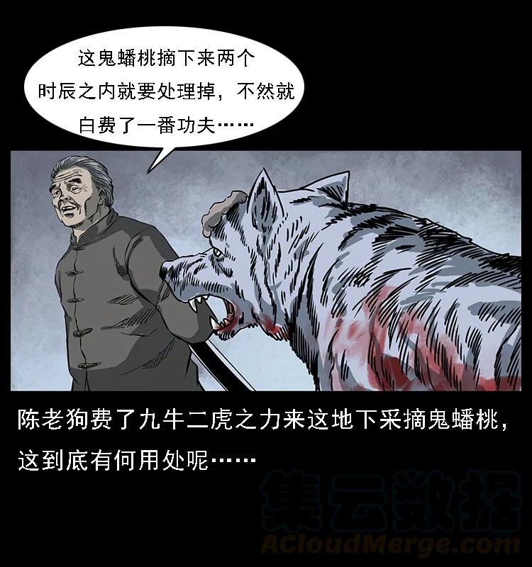 《幽冥诡匠》漫画最新章节083 鬼面魈免费下拉式在线观看章节第【81】张图片