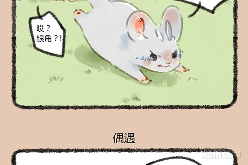 【有兽焉】漫画-（鼠生艰难）章节漫画下拉式图片-6.jpg