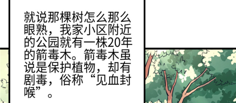 《悠哉兽世：种种田，生生崽》漫画最新章节第128话免费下拉式在线观看章节第【72】张图片