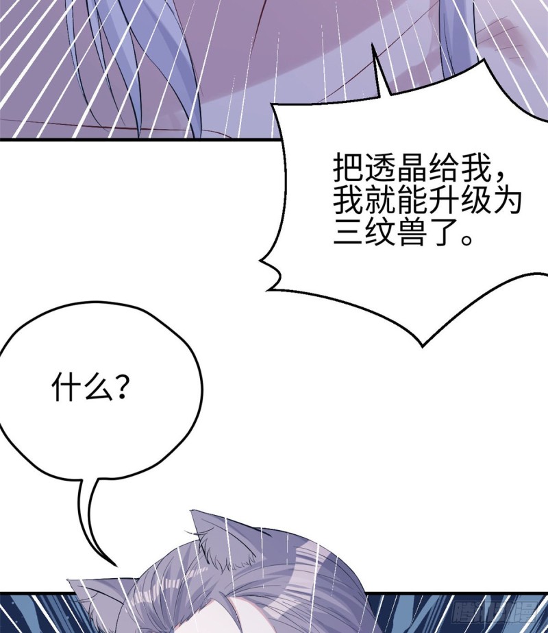 《悠哉兽世：种种田，生生崽》漫画最新章节第159话免费下拉式在线观看章节第【41】张图片