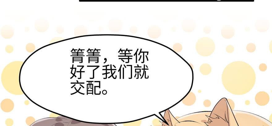 《悠哉兽世：种种田，生生崽》漫画最新章节第97话免费下拉式在线观看章节第【145】张图片