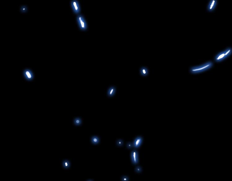 《月光雕刻师》漫画最新章节第0+1话 天价的账号免费下拉式在线观看章节第【12】张图片