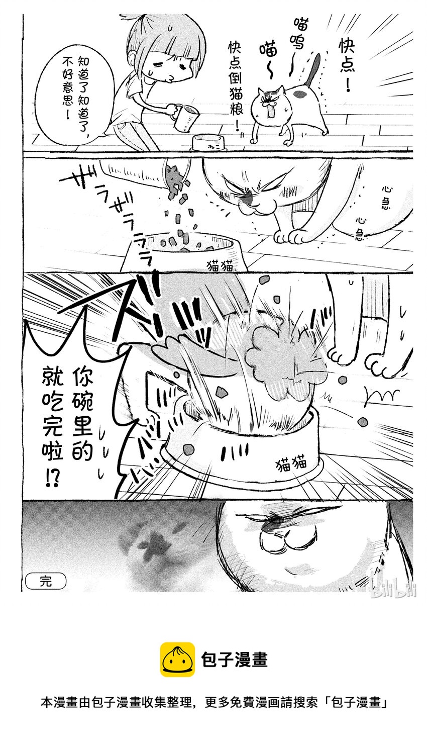 《与汪汪喵喵同居的开心日常》漫画最新章节11免费下拉式在线观看章节第【2】张图片