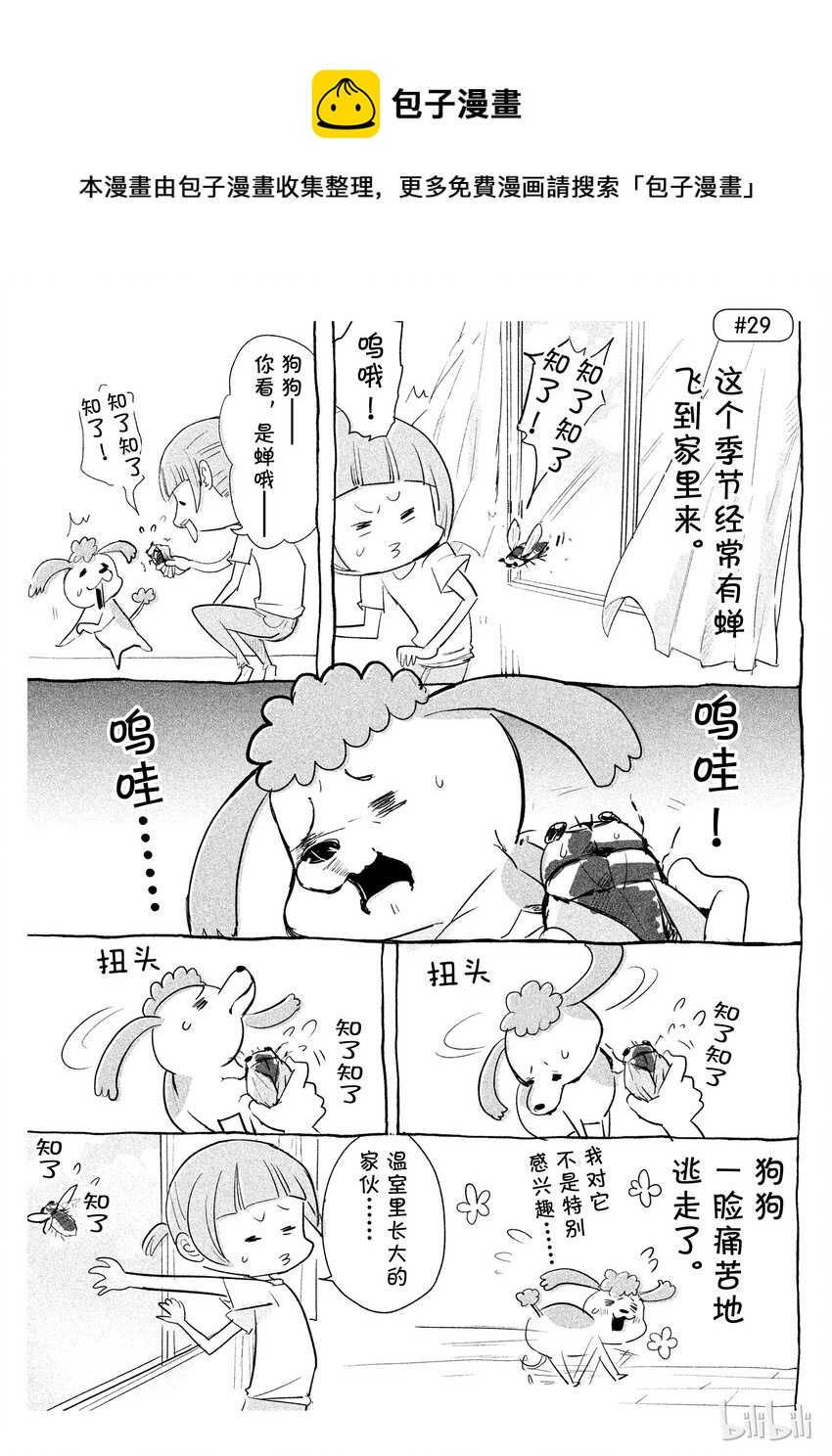 《与汪汪喵喵同居的开心日常》漫画最新章节29免费下拉式在线观看章节第【1】张图片