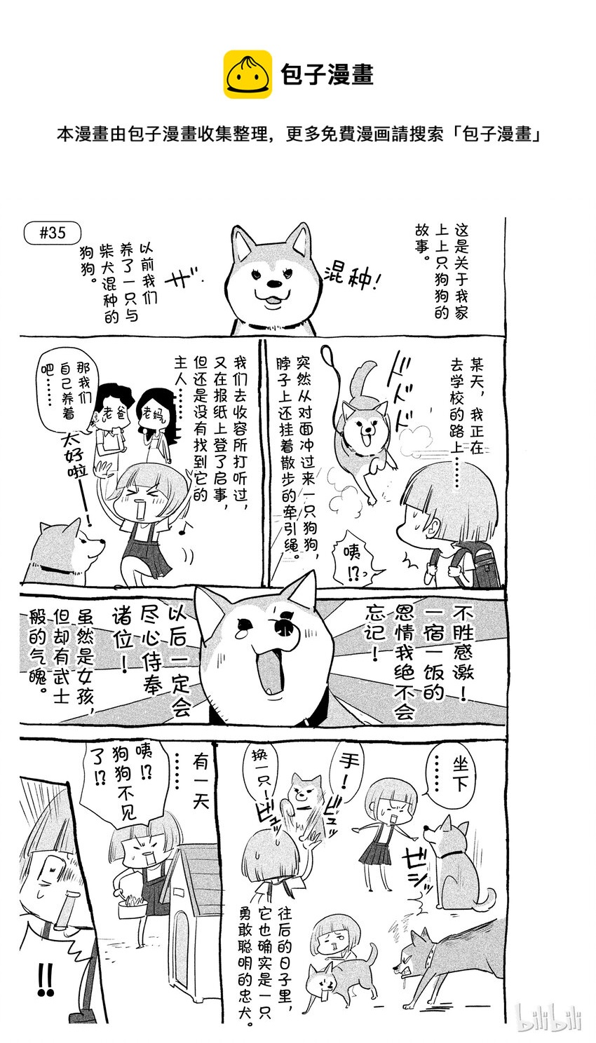 《与汪汪喵喵同居的开心日常》漫画最新章节35免费下拉式在线观看章节第【1】张图片