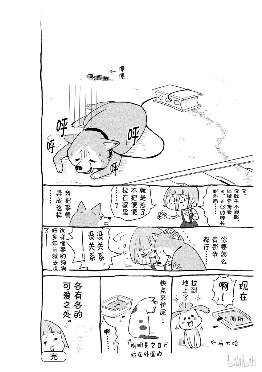 《与汪汪喵喵同居的开心日常》漫画最新章节35免费下拉式在线观看章节第【2】张图片