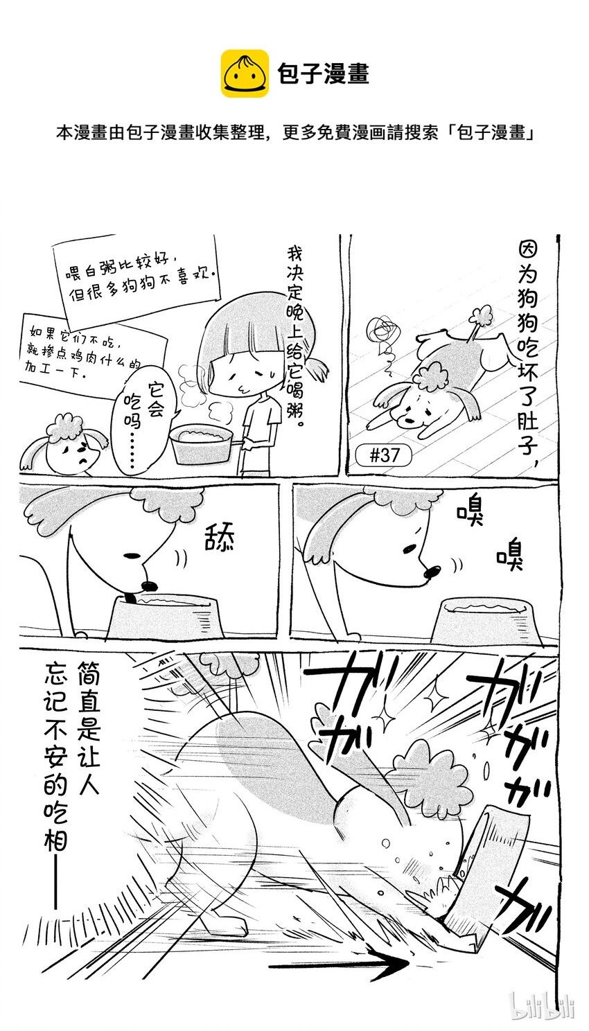 《与汪汪喵喵同居的开心日常》漫画最新章节37免费下拉式在线观看章节第【1】张图片