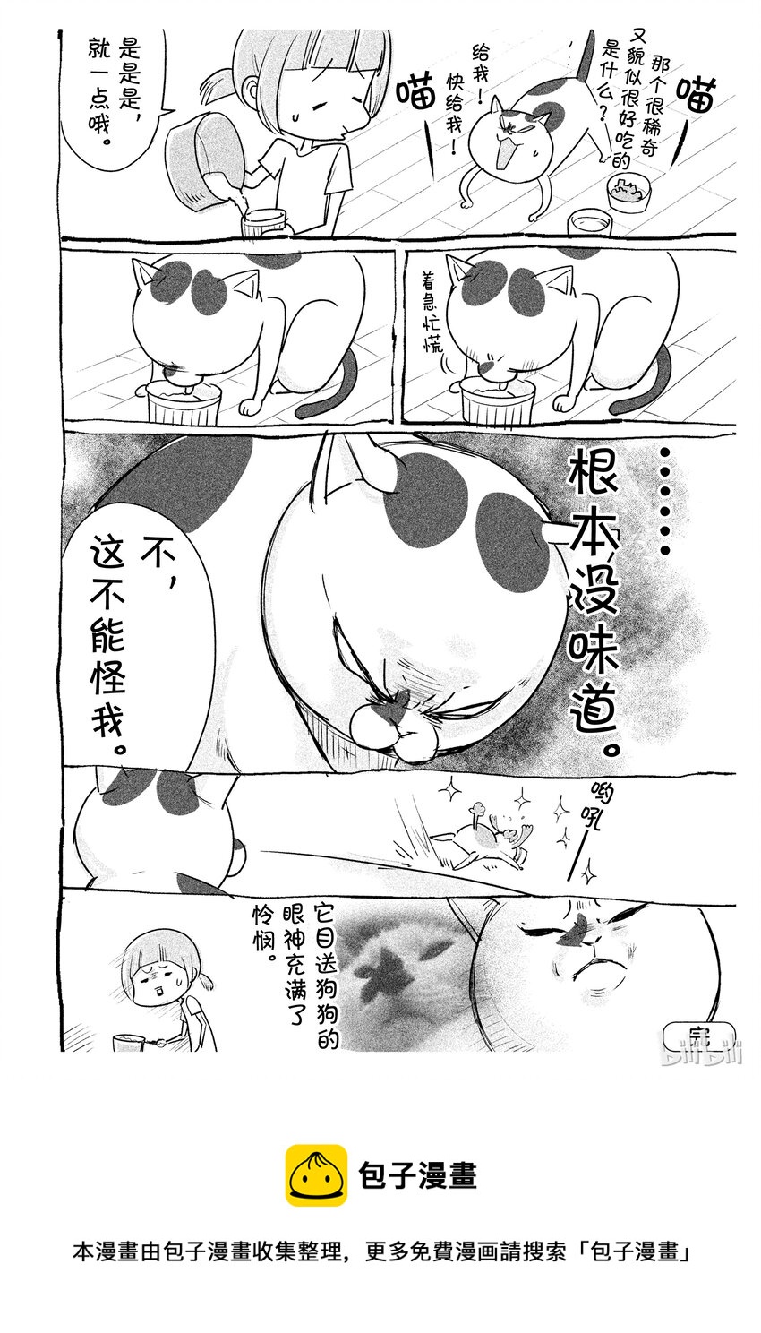 《与汪汪喵喵同居的开心日常》漫画最新章节37免费下拉式在线观看章节第【2】张图片