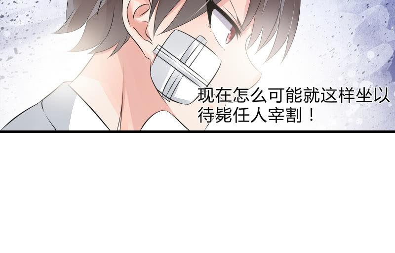 《召唤美少女军团》漫画最新章节决意免费下拉式在线观看章节第【40】张图片