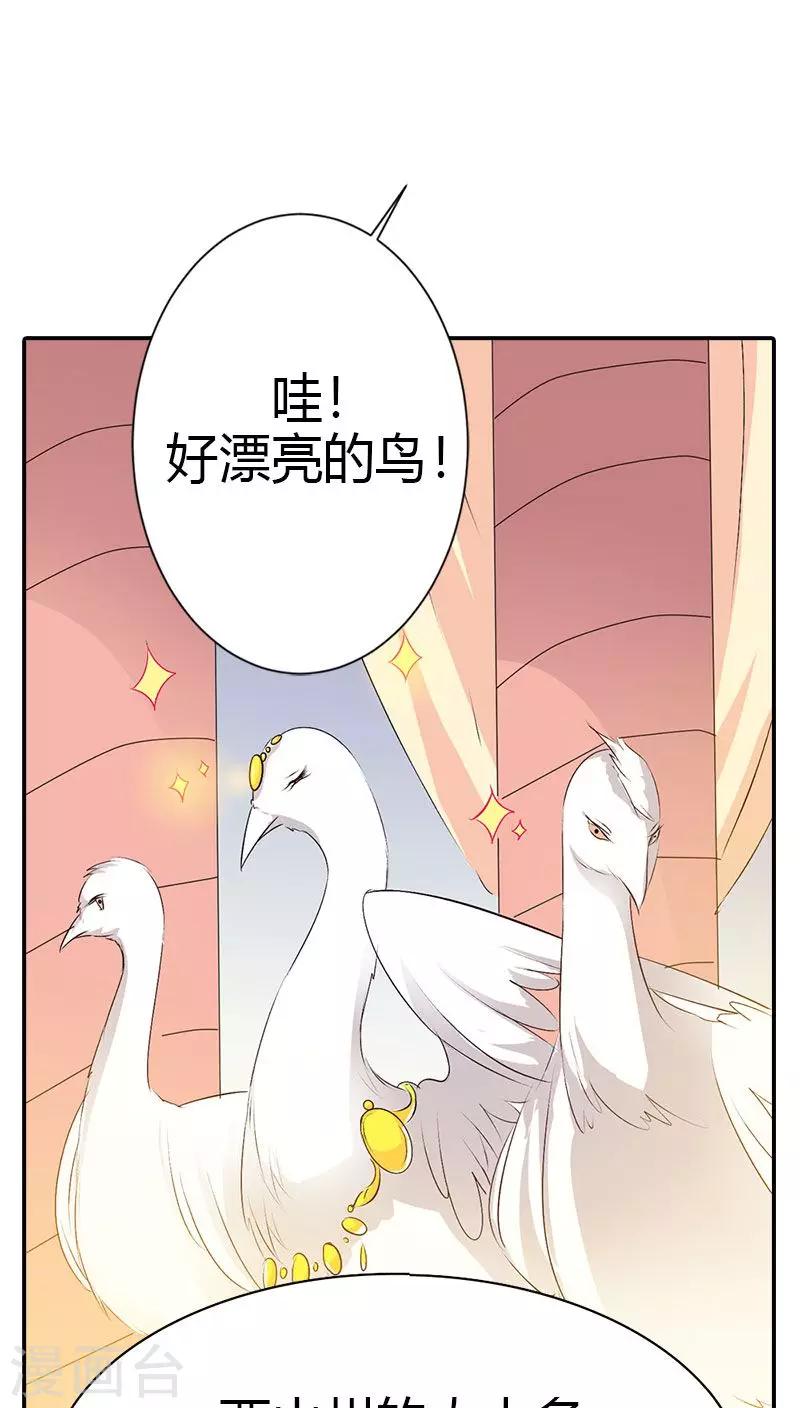 《这个神兽有点萌系列之通天嗜宠》漫画最新章节第3季40话 局势不妙免费下拉式在线观看章节第【19】张图片