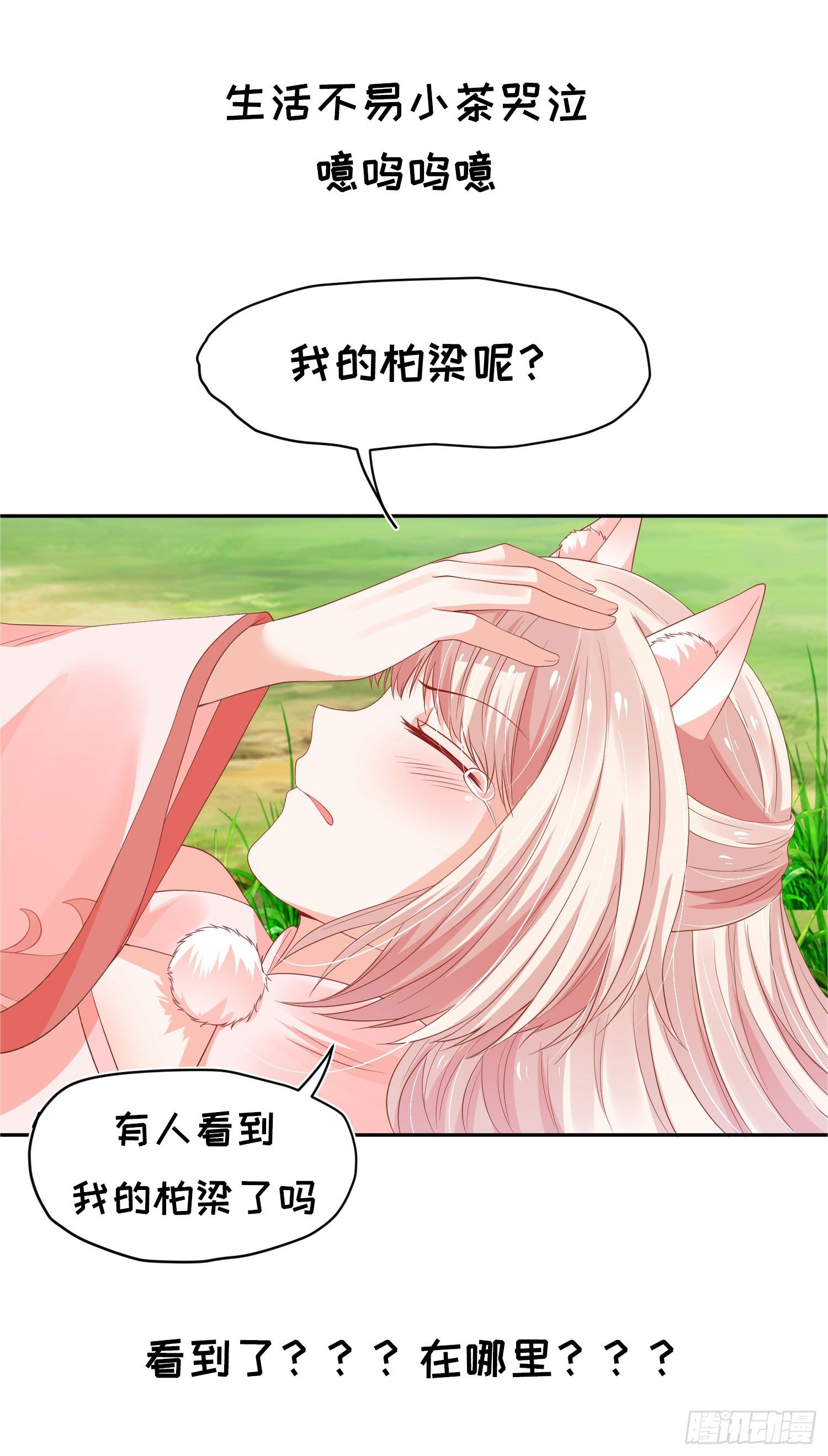 《朕的马是狐狸精》漫画最新章节狐小茶的碎碎念免费下拉式在线观看章节第【5】张图片