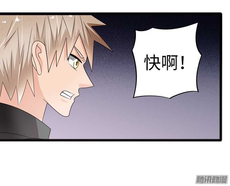 《致幻毁灭者》漫画最新章节701免费下拉式在线观看章节第【13】张图片