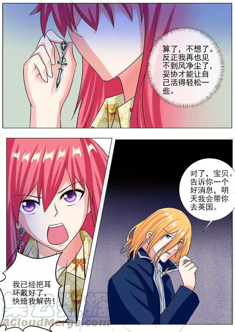 《至今花蕊有净尘》漫画最新章节第241话 主动戴上耳环免费下拉式在线观看章节第【7】张图片