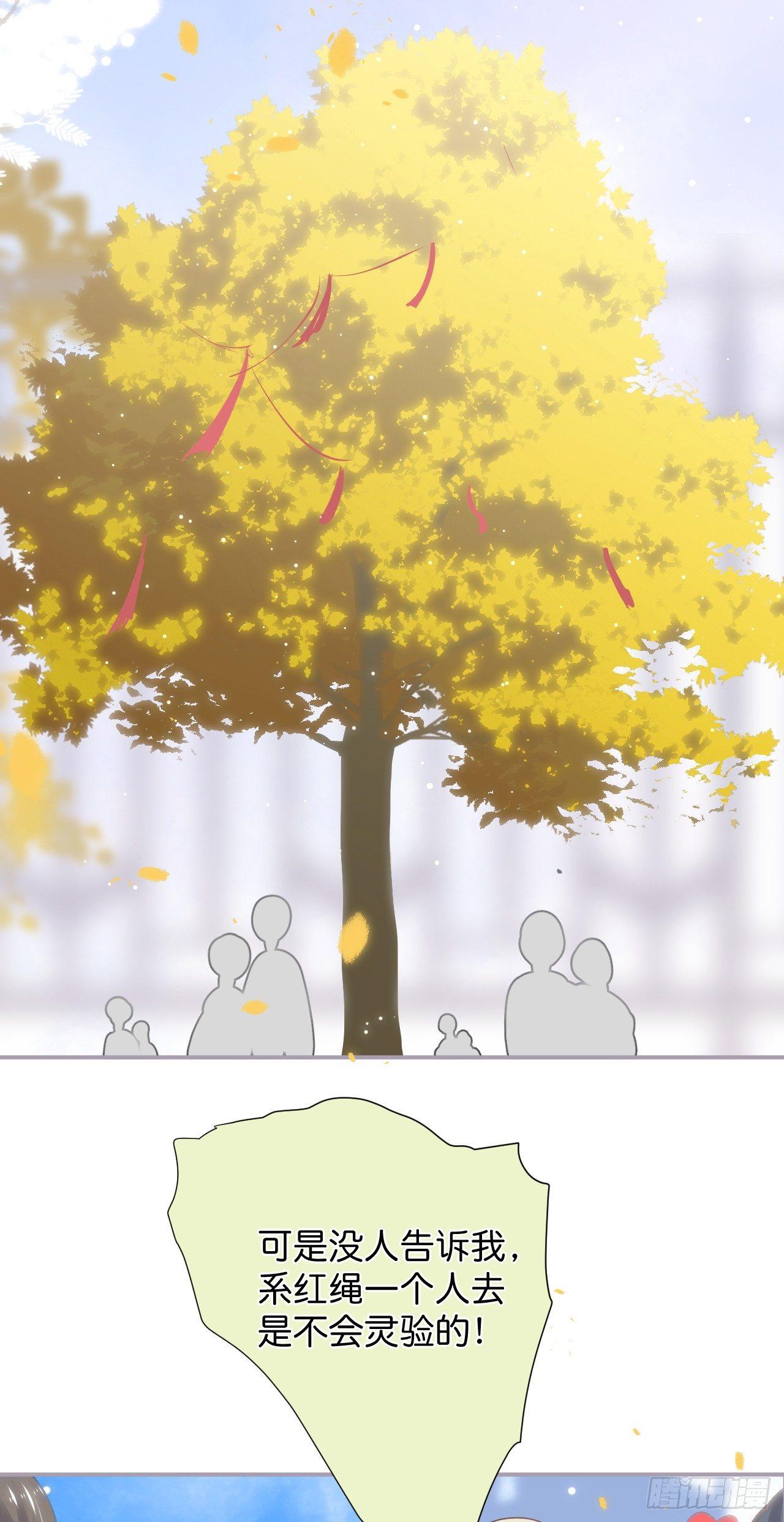致命氧气-银杏树的浪漫~全彩韩漫标签
