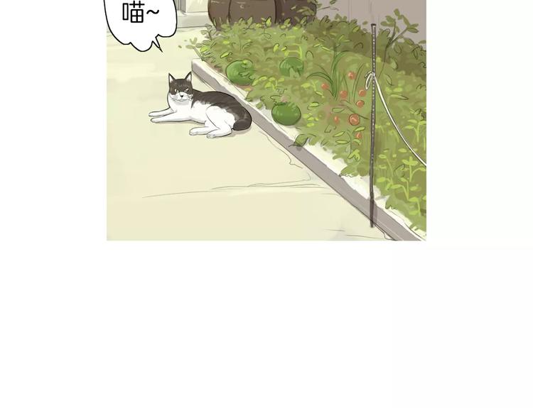 《治愈餐桌》漫画最新章节第5话 不是我而是为了某人免费下拉式在线观看章节第【20】张图片