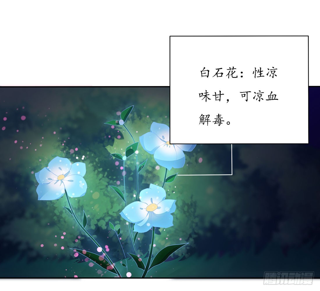 《至尊瞳术师：绝世大小姐》漫画最新章节第八话 到底为什么追我？免费下拉式在线观看章节第【3】张图片