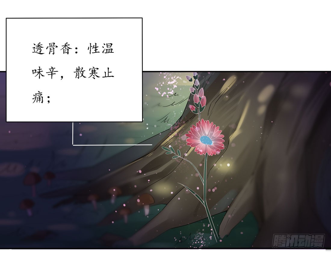 《至尊瞳术师：绝世大小姐》漫画最新章节第八话 到底为什么追我？免费下拉式在线观看章节第【4】张图片