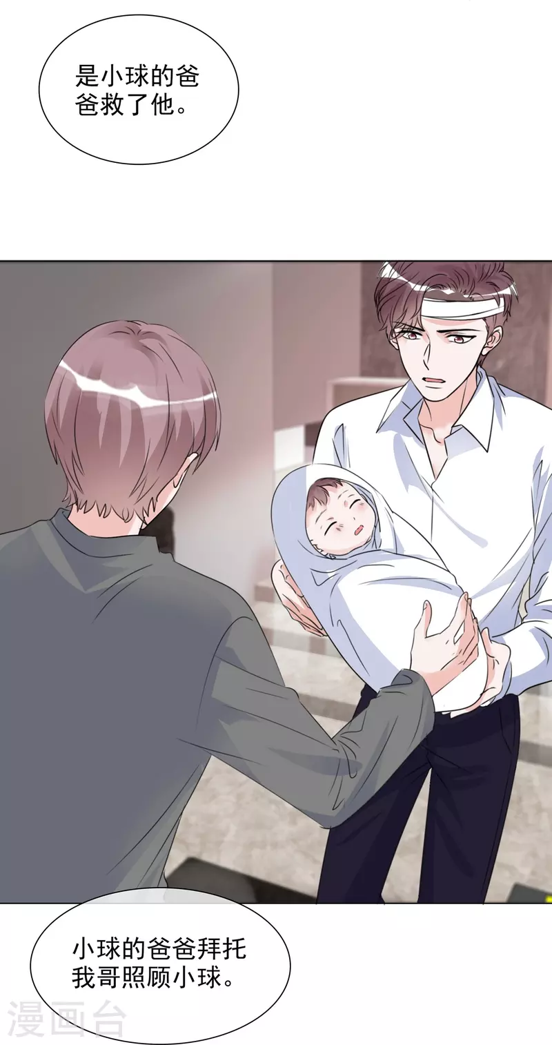 《重生后靠脸混娱乐圈》漫画最新章节第213话 小球身世免费下拉式在线观看章节第【17】张图片