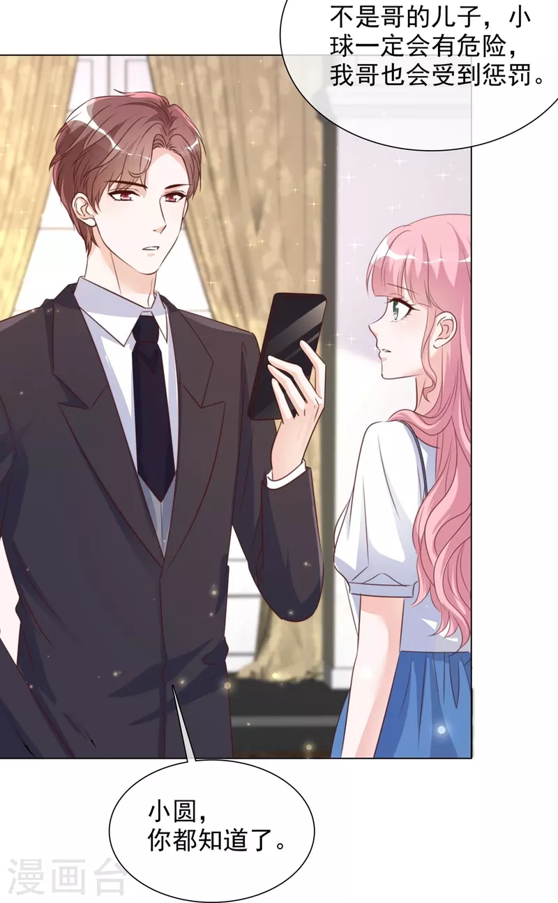 《重生后靠脸混娱乐圈》漫画最新章节第213话 小球身世免费下拉式在线观看章节第【19】张图片