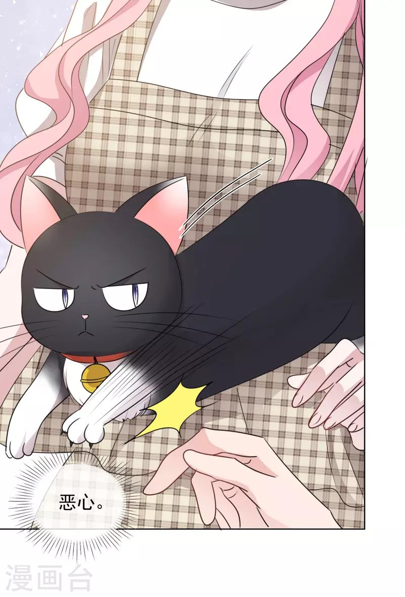 《重生后靠脸混娱乐圈》漫画最新章节第49话 小圆被抓免费下拉式在线观看章节第【12】张图片