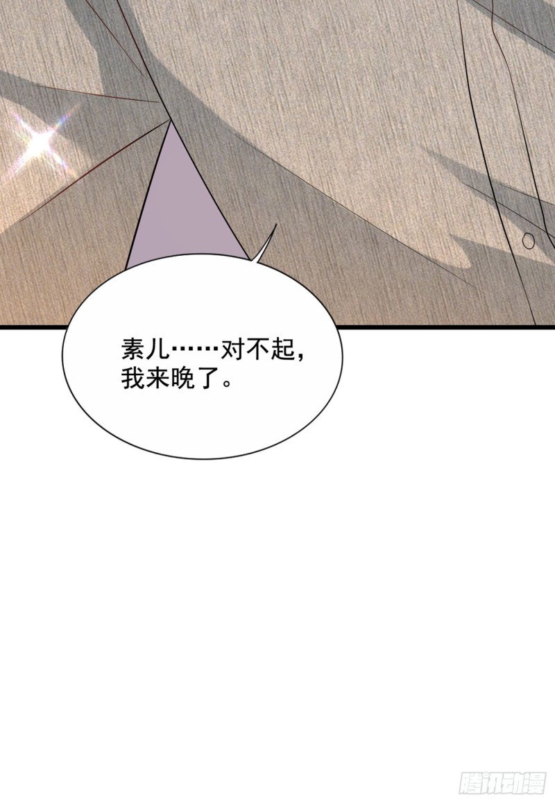 《重生空间：大小姐不好惹》漫画最新章节第225话 素儿，你会没事的免费下拉式在线观看章节第【5】张图片