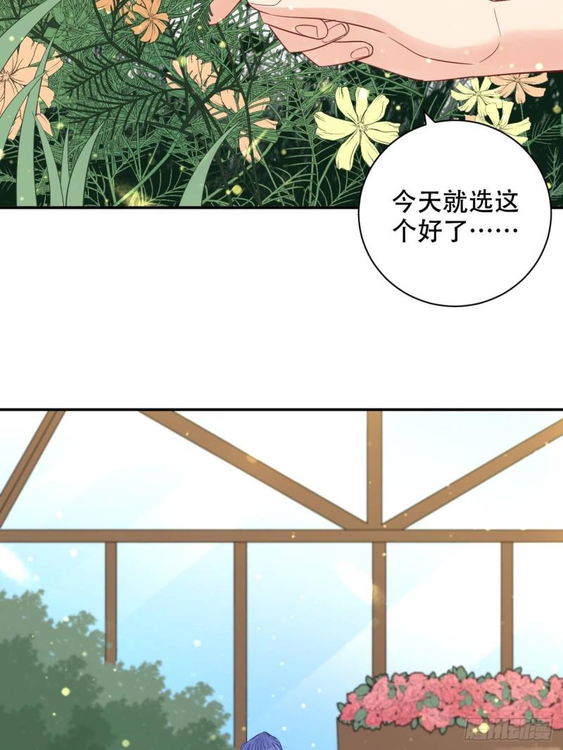 《重生只为追影帝》漫画最新章节最终话.这是开始，不是结束免费下拉式在线观看章节第【28】张图片