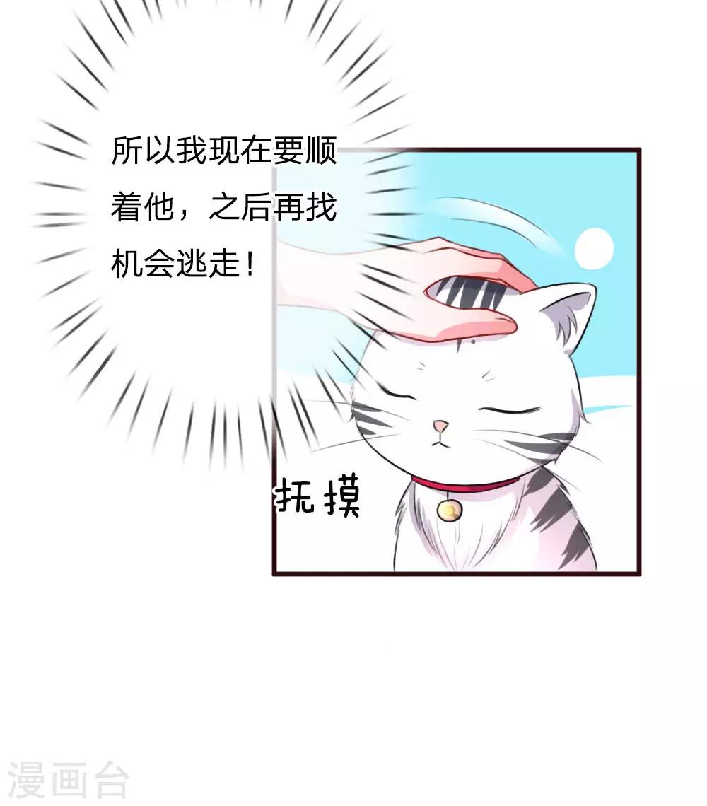 《重生之影后谋略》漫画最新章节第77话 萌猫球球免费下拉式在线观看章节第【21】张图片