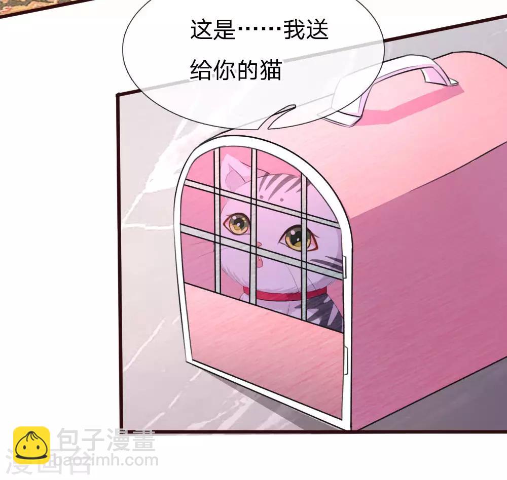 《重生之影后谋略》漫画最新章节第77话 萌猫球球免费下拉式在线观看章节第【8】张图片