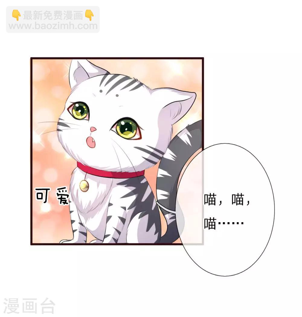 《重生之影后谋略》漫画最新章节第77话 萌猫球球免费下拉式在线观看章节第【9】张图片