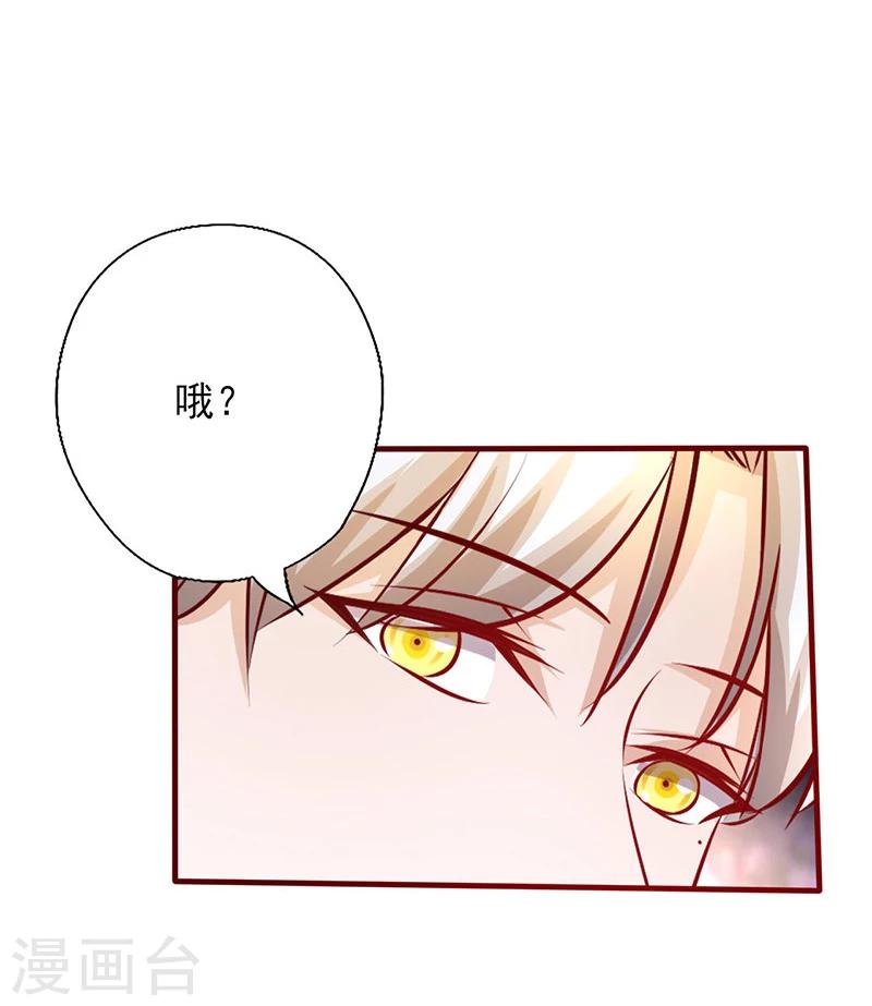 《追夫36计：老公，来战！》漫画最新章节第203话 没有节操免费下拉式在线观看章节第【2】张图片