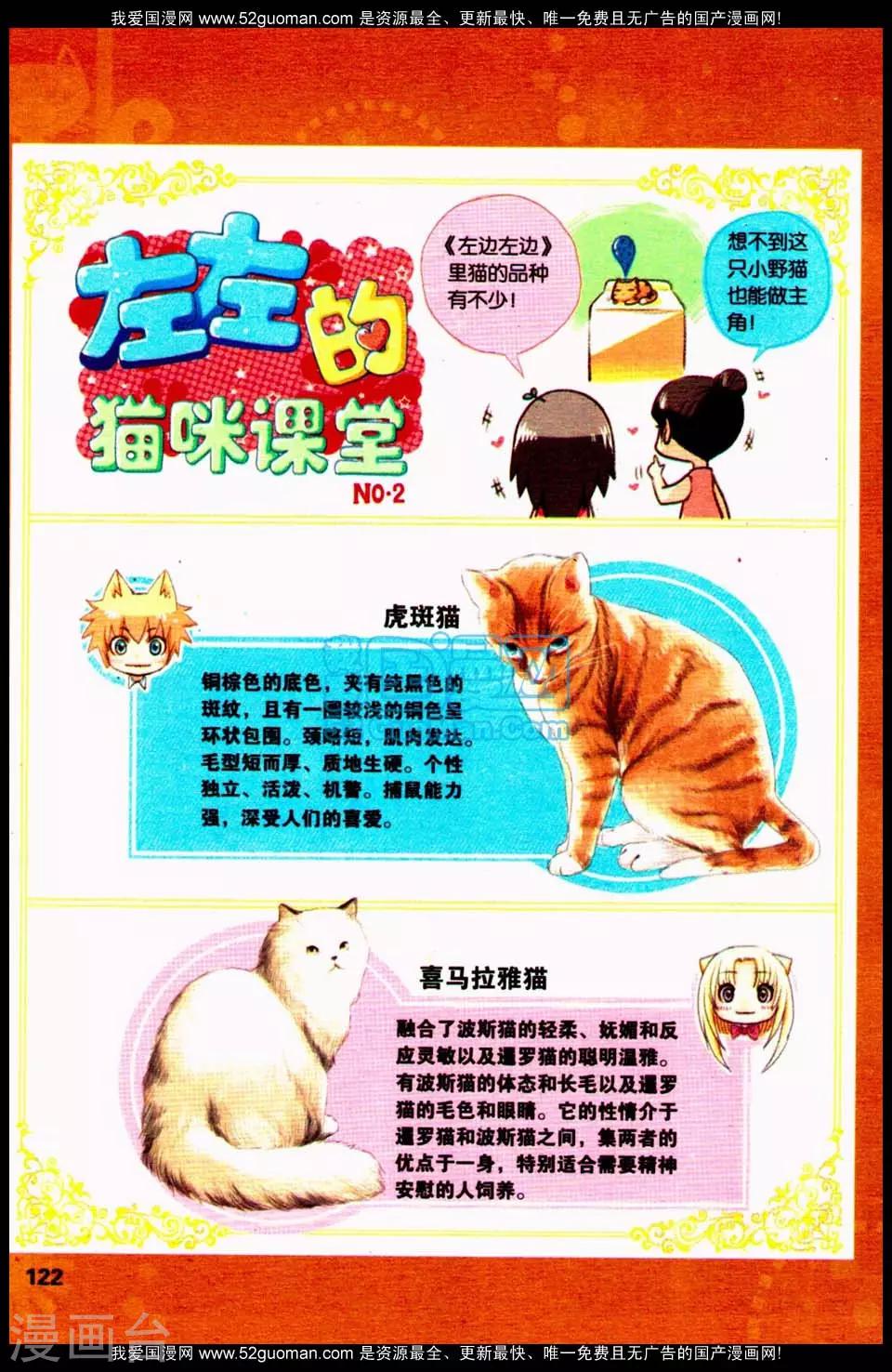 《左边左边》漫画最新章节左左的猫咪课堂2免费下拉式在线观看章节第【1】张图片