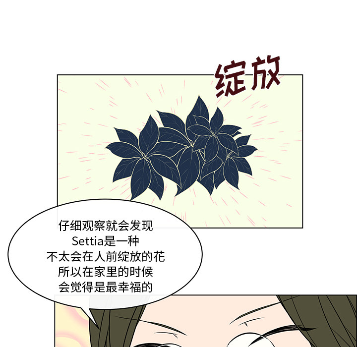 《Settia》漫画最新章节第17话 免费下拉式在线观看章节第【25】张图片