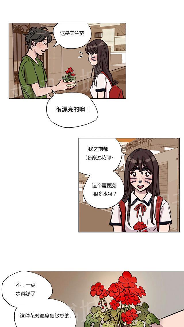 《最后的审判》漫画最新章节第37话 傻瓜免费下拉式在线观看章节第【11】张图片